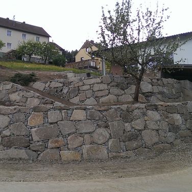 Kiesenhofer 